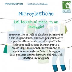 15_Microplastiche.jpg